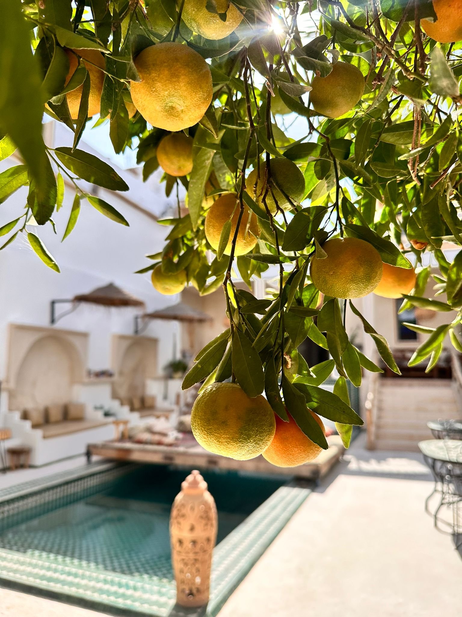 صورة من دار السلام